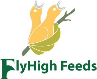 FlyHigh Feeds
